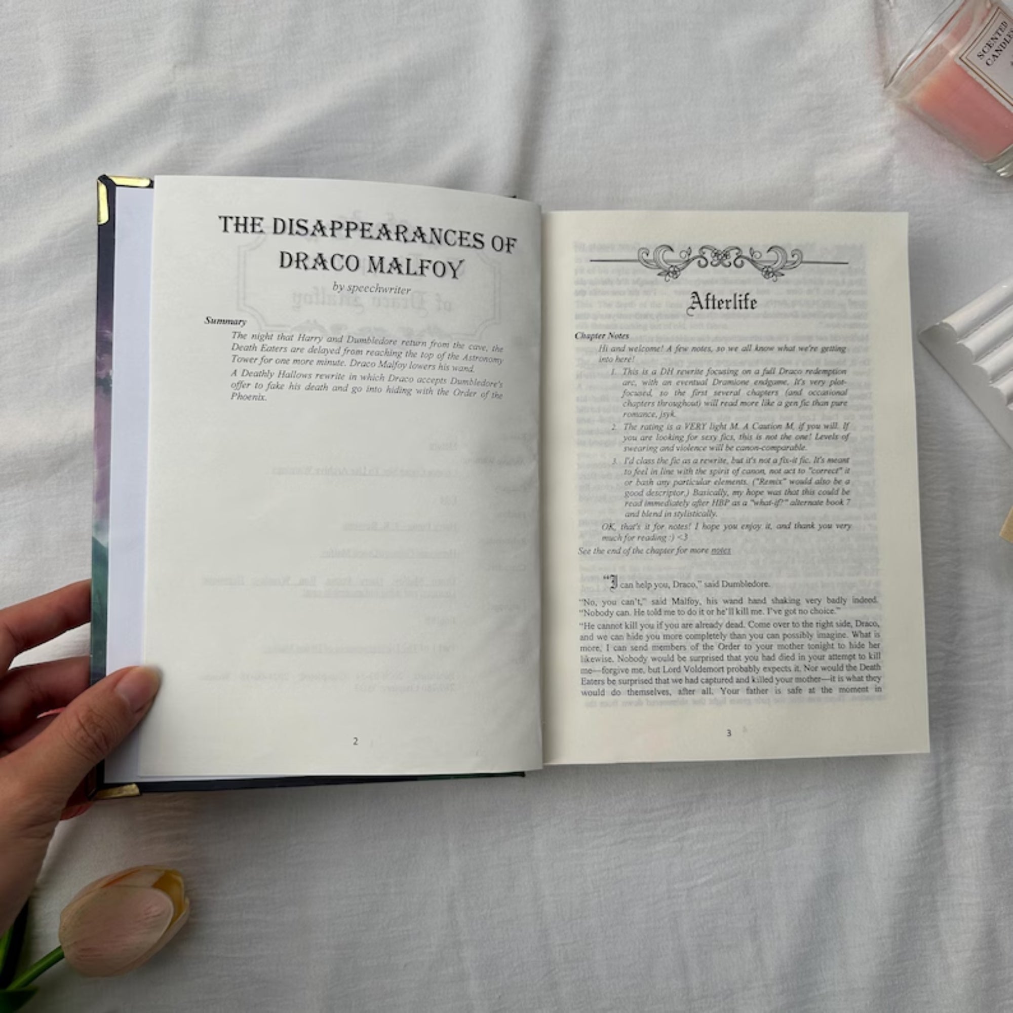 The Disappearances of Draco Malfoy Hardcover Book – Dramione Fantasy Mystery