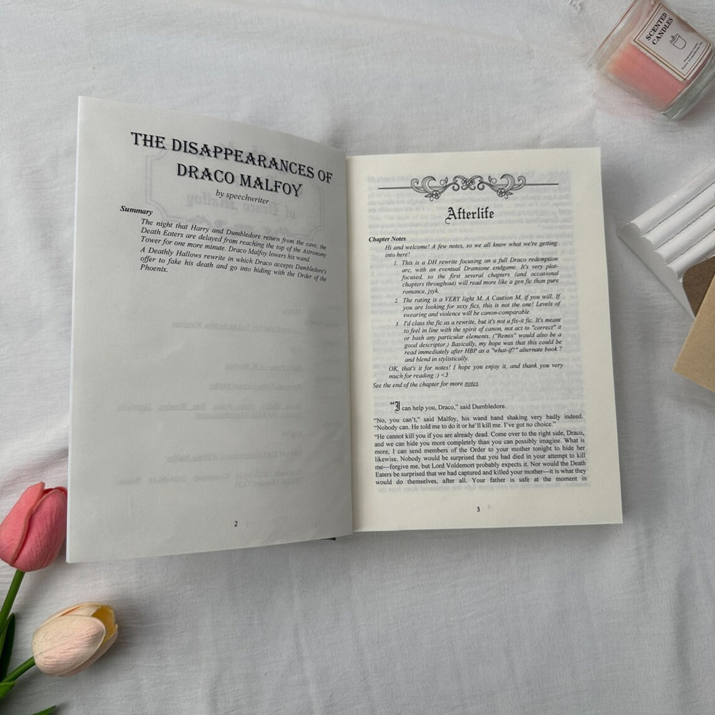 The Disappearances of Draco Malfoy Hardcover Book – Dramione Fantasy Mystery