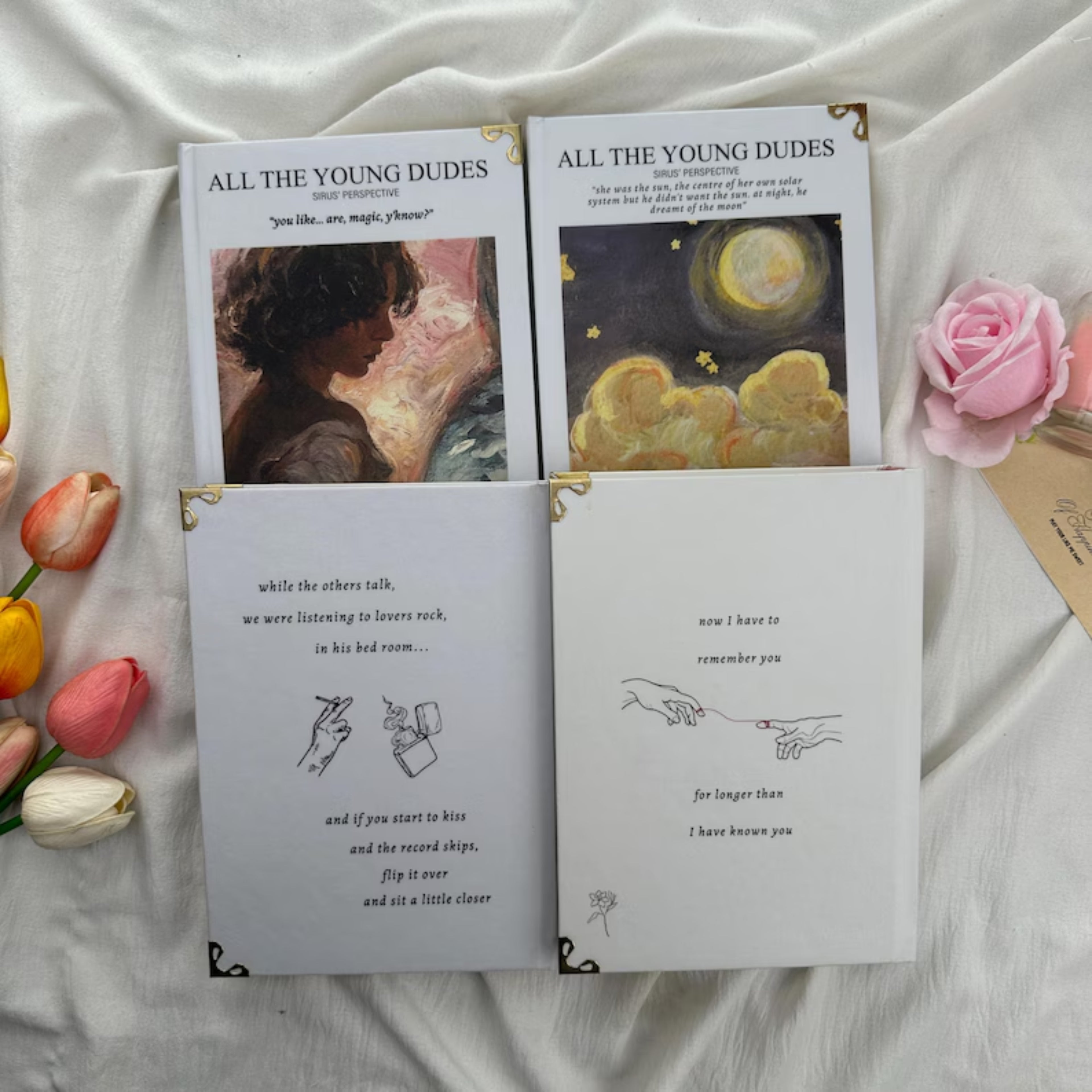 All the Young Dudes Series – Dramione Fanfic Collection, Sirius Perspective & Magical Romance, Book Readers Gift, BookTok Favorite