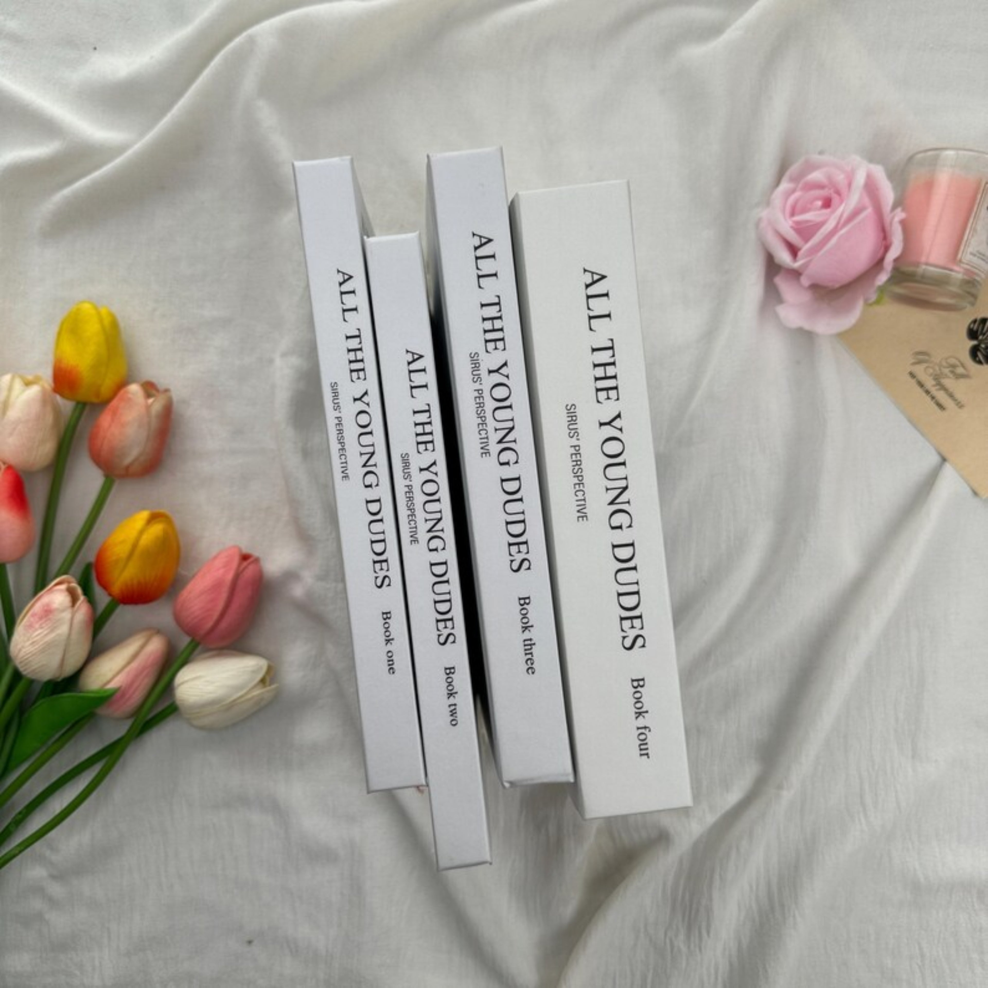 All the Young Dudes Series – Dramione Fanfic Collection, Sirius Perspective & Magical Romance, Book Readers Gift, BookTok Favorite
