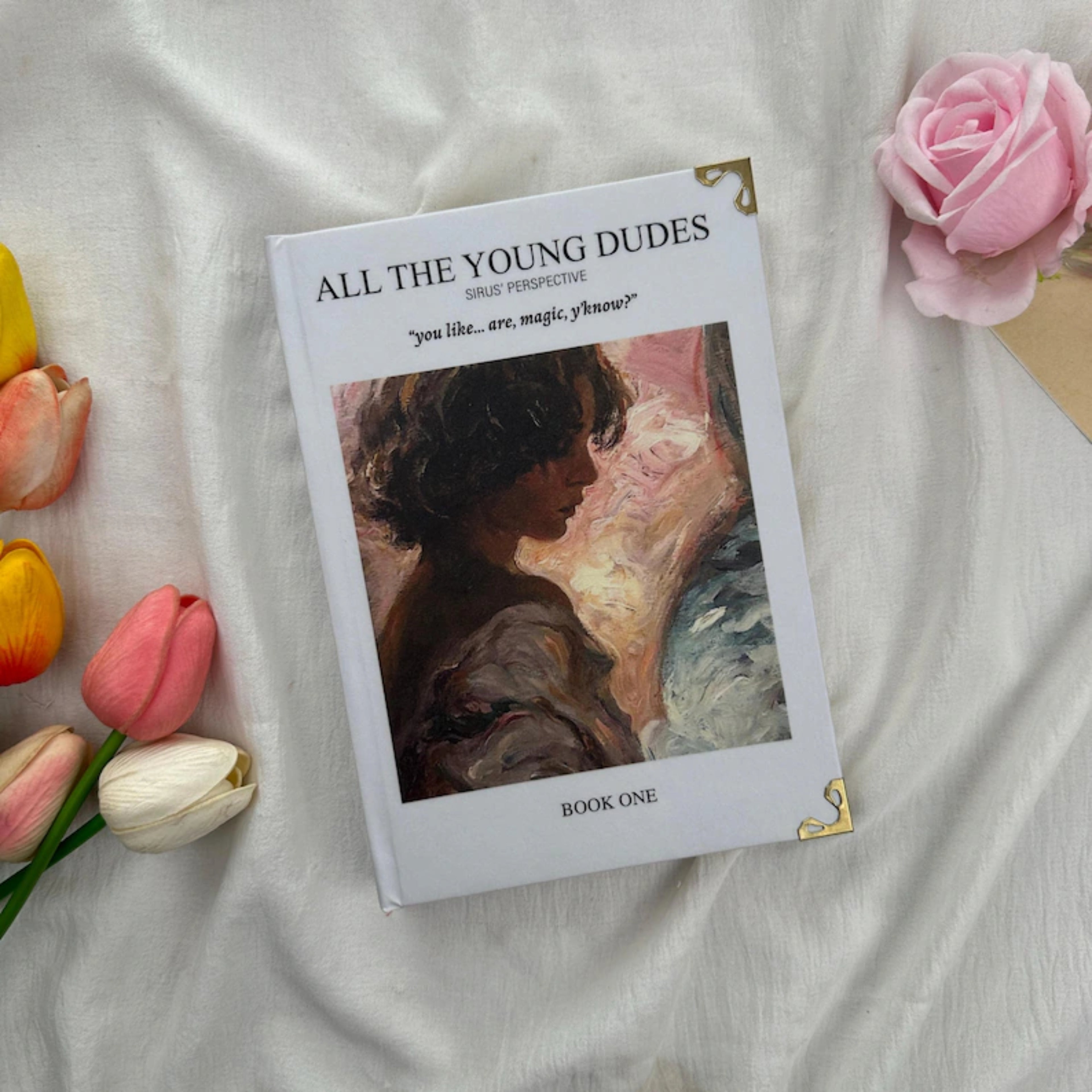 All the Young Dudes Series – Dramione Fanfic Collection, Sirius Perspective & Magical Romance, Book Readers Gift, BookTok Favorite