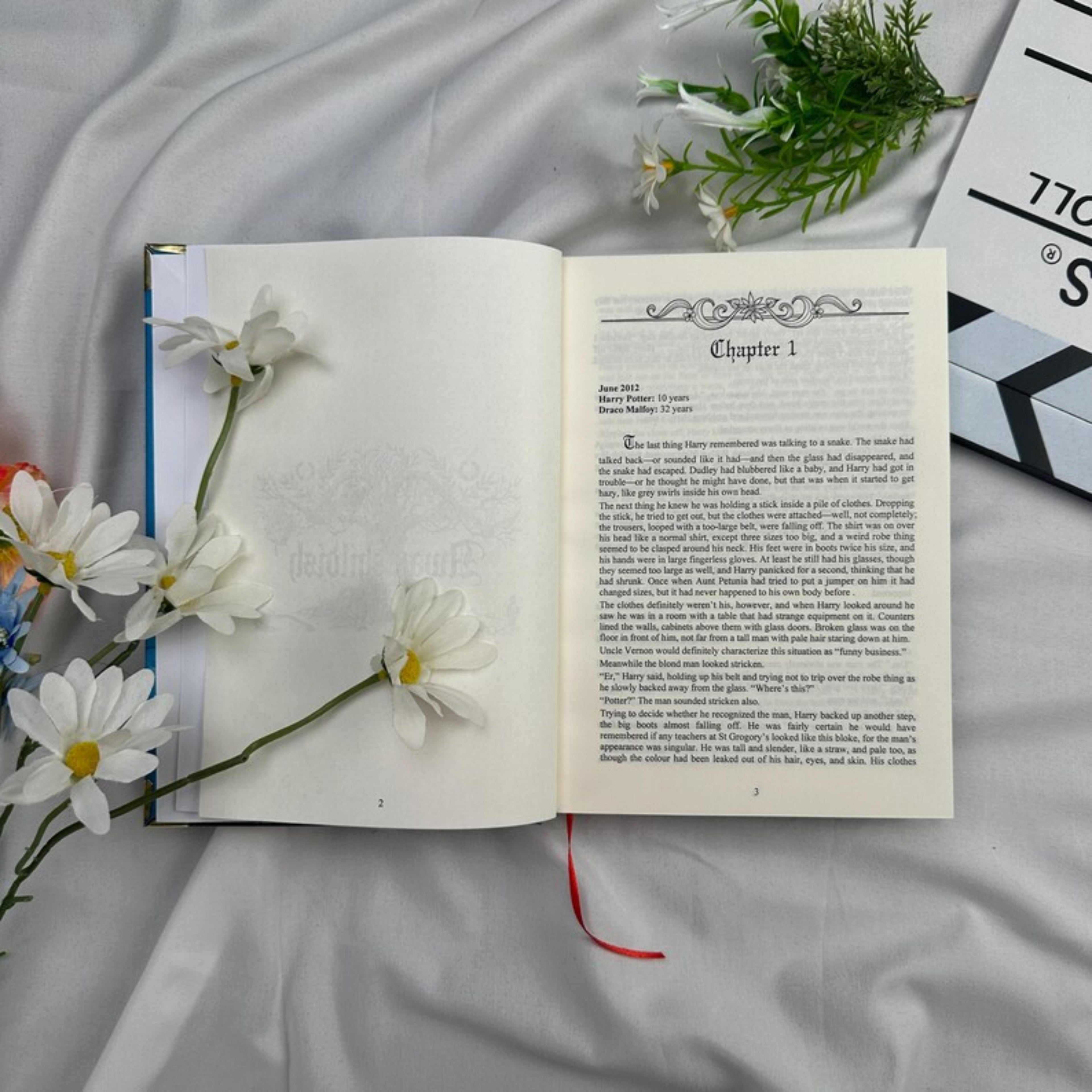 Lettered by WhereDoesSheGo – Dramione-Inspired Dark Romance Fanfiction for Book Readers & BookTok Gift