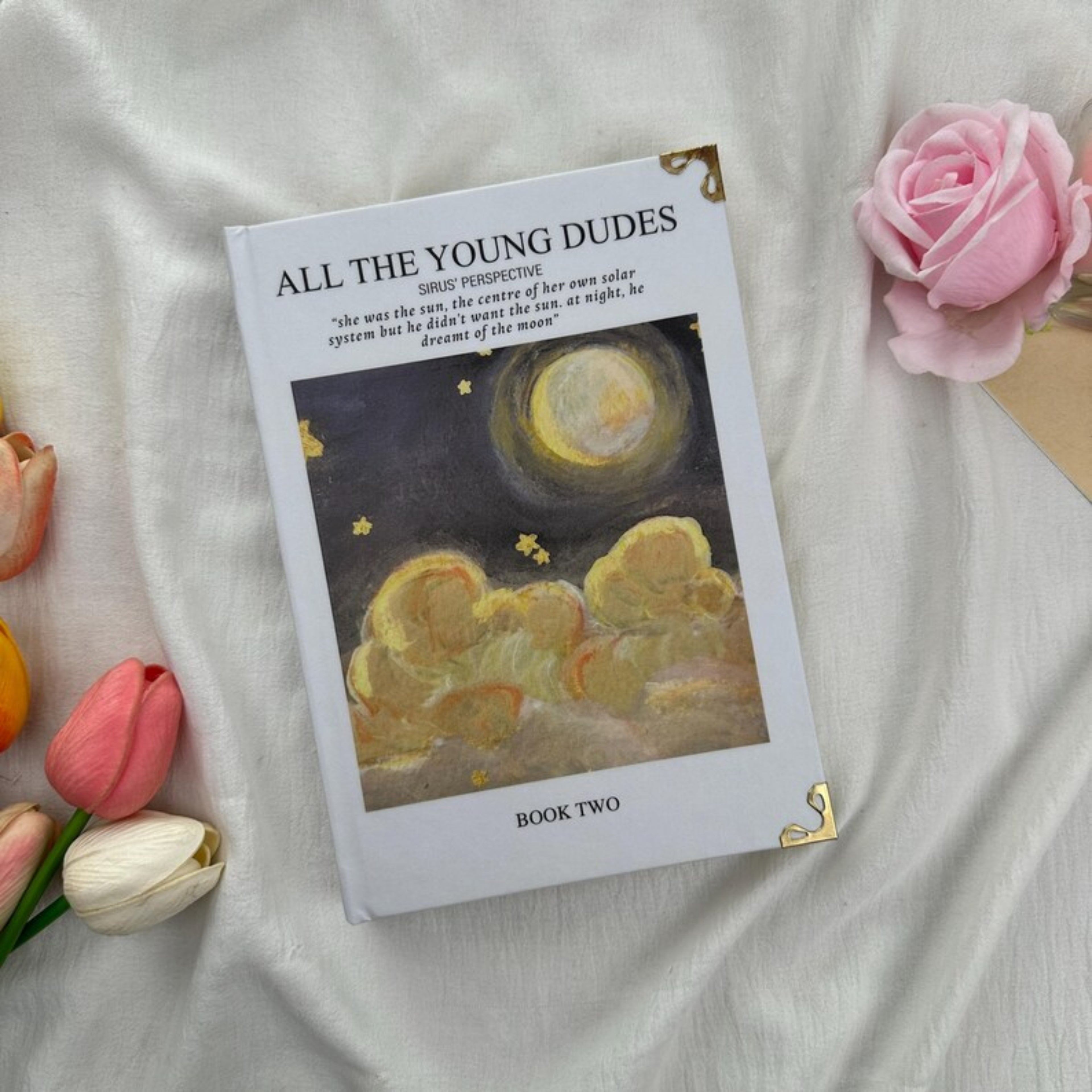 All the Young Dudes Series – Dramione Fanfic Collection, Sirius Perspective & Magical Romance, Book Readers Gift, BookTok Favorite