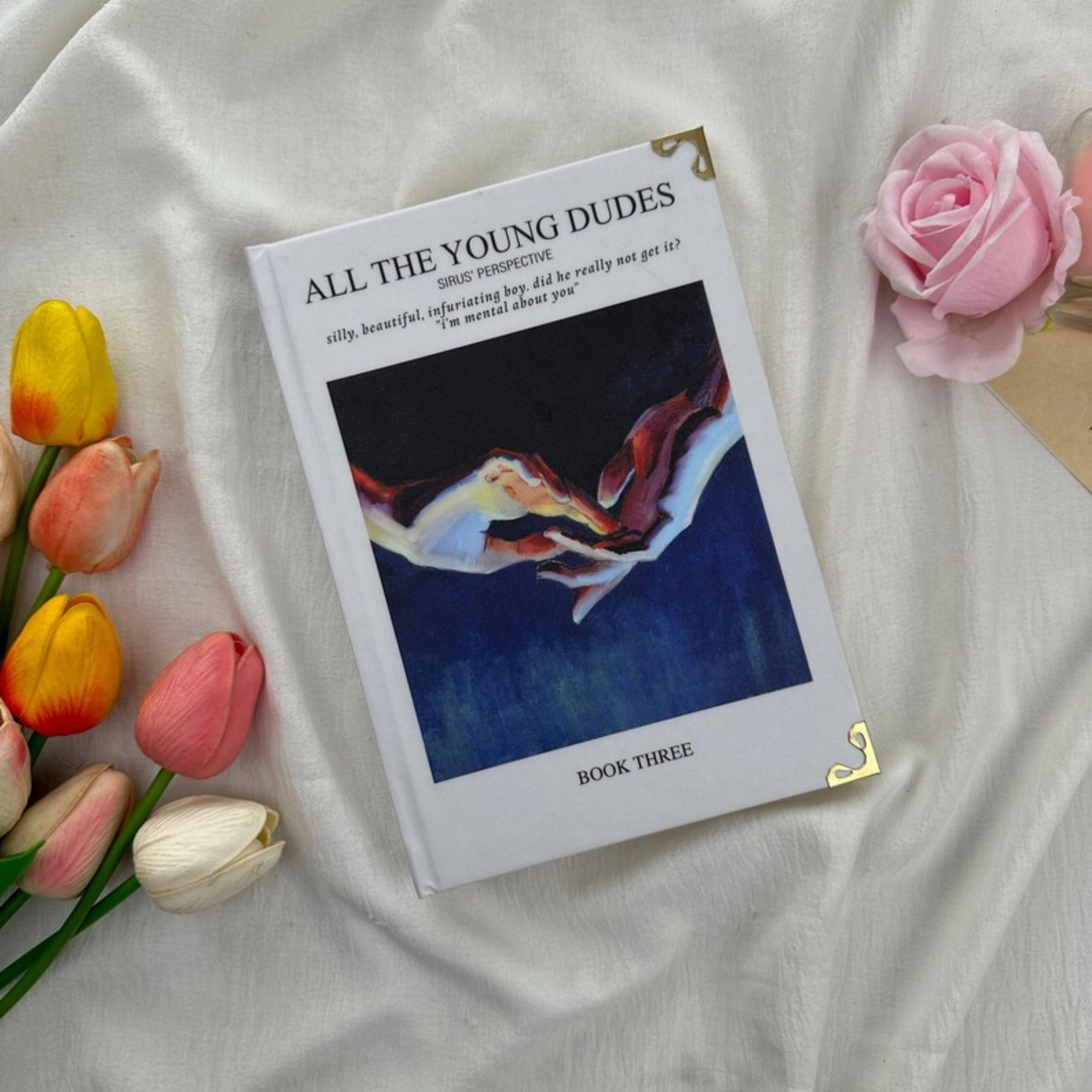 All the Young Dudes Series – Dramione Fanfic Collection, Sirius Perspective & Magical Romance, Book Readers Gift, BookTok Favorite