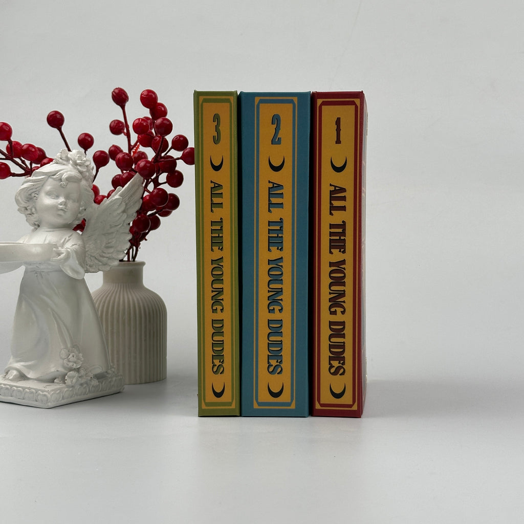 All The Young Dudes Fantasy Book Set – Complete Illustrated Collection by Ms King Bean