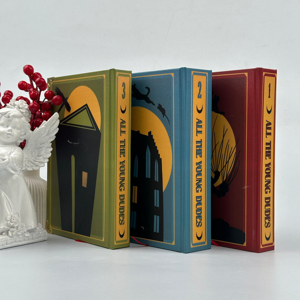 All The Young Dudes Fantasy Book Set – Complete Illustrated Collection by Ms King Bean