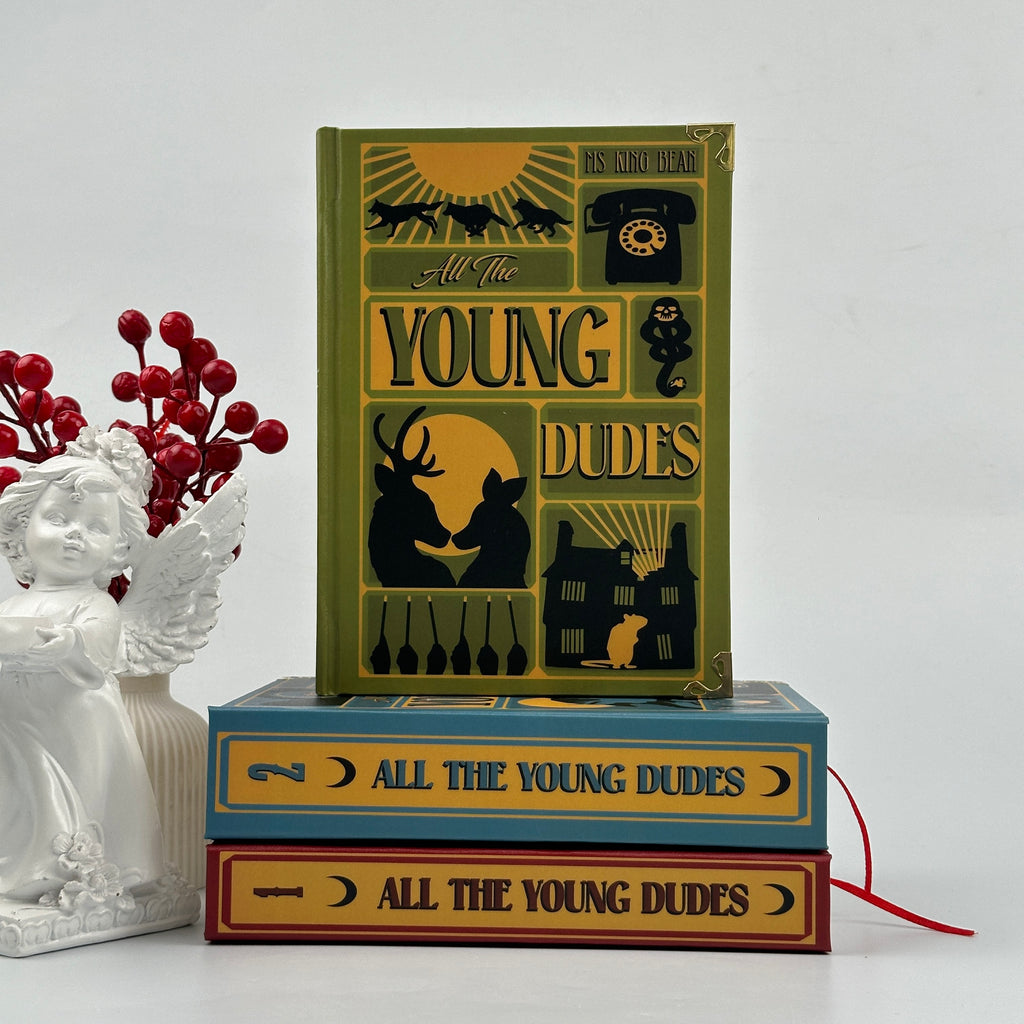 All The Young Dudes Fantasy Book Set – Complete Illustrated Collection by Ms King Bean