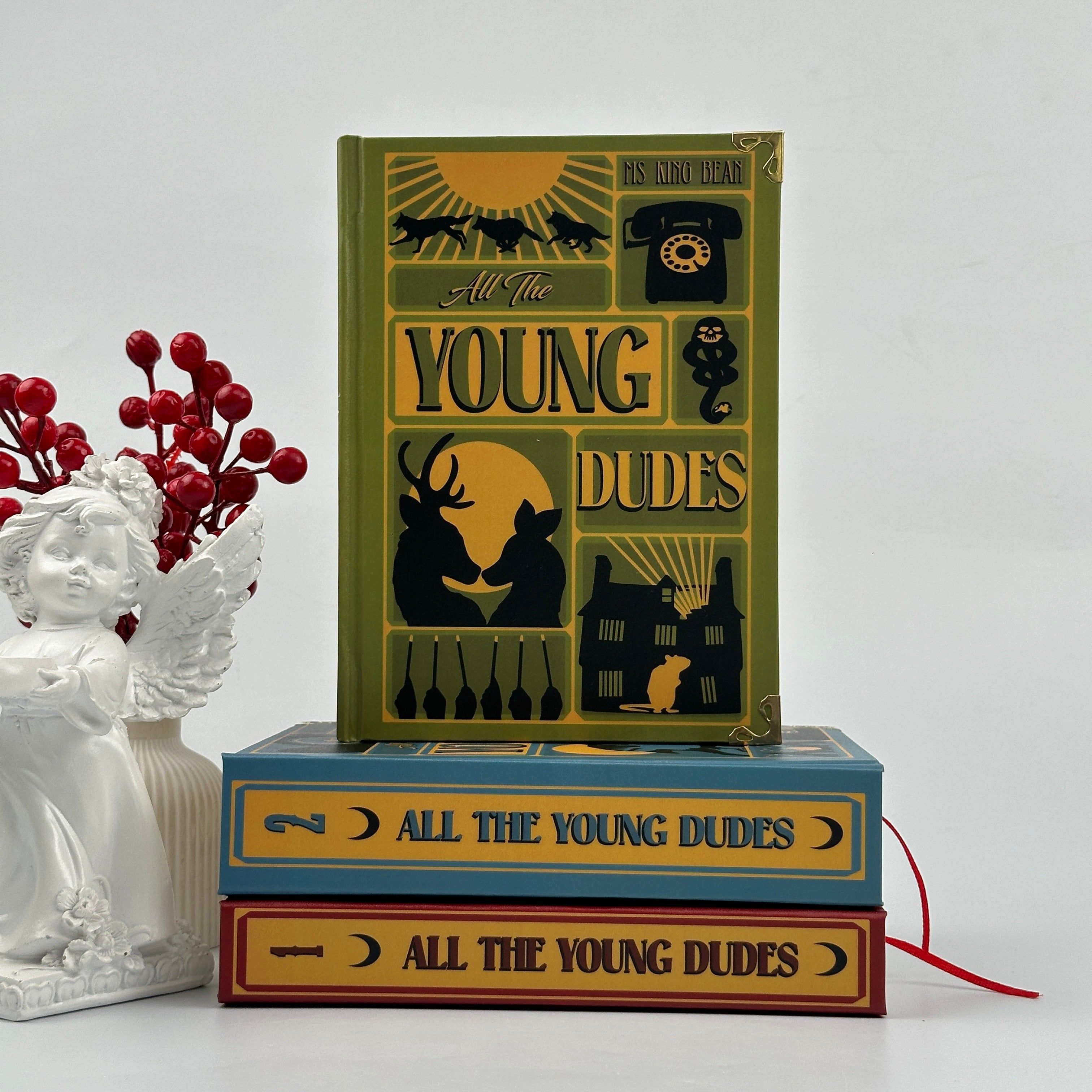 All The Young Dudes Fantasy Book Set – Complete Illustrated Collection by Ms King Bean