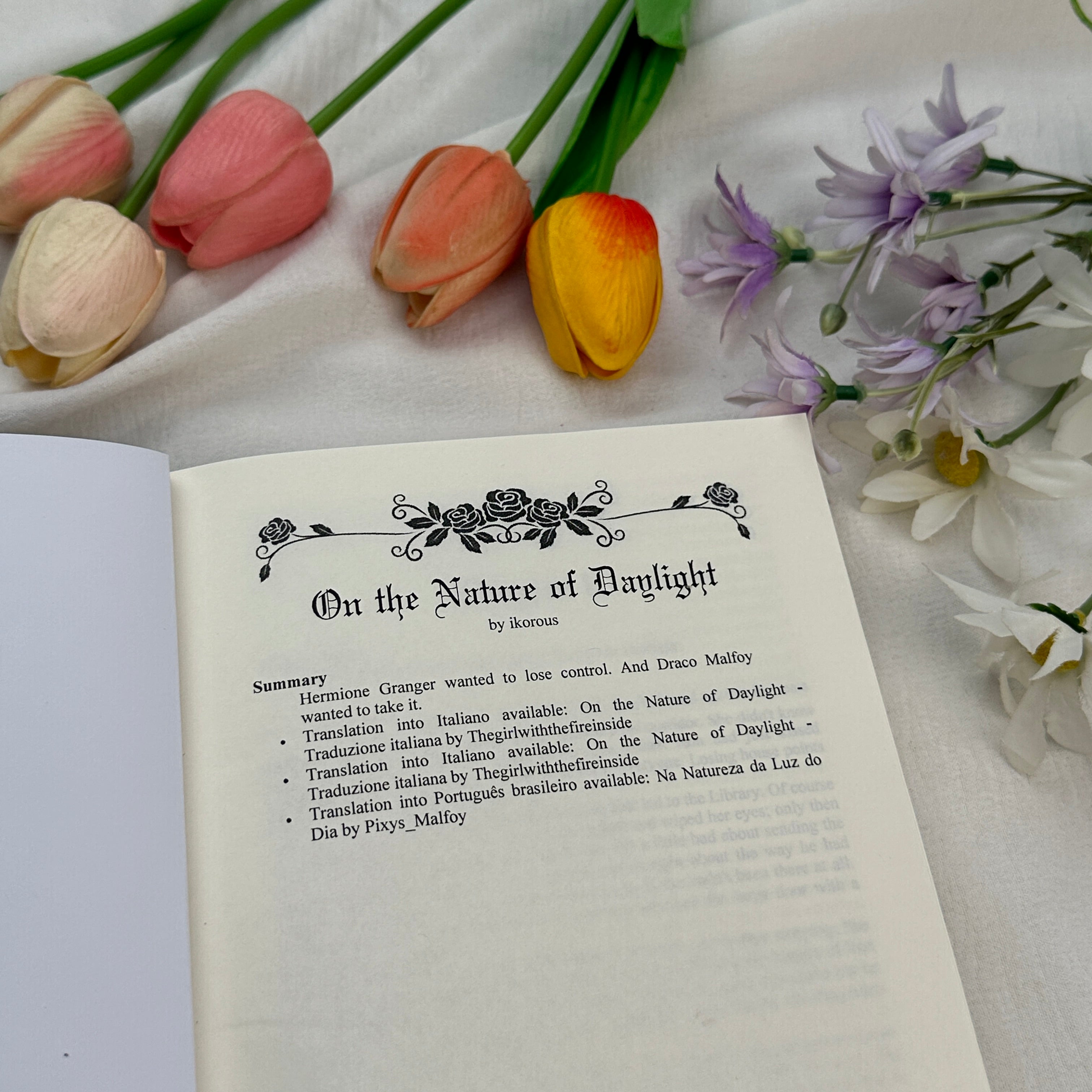 On the Nature of Daylight Hardcover Book – Romantic Fantasy Love Story Novel, Emotional Couple Romance Fiction Collectible Edition