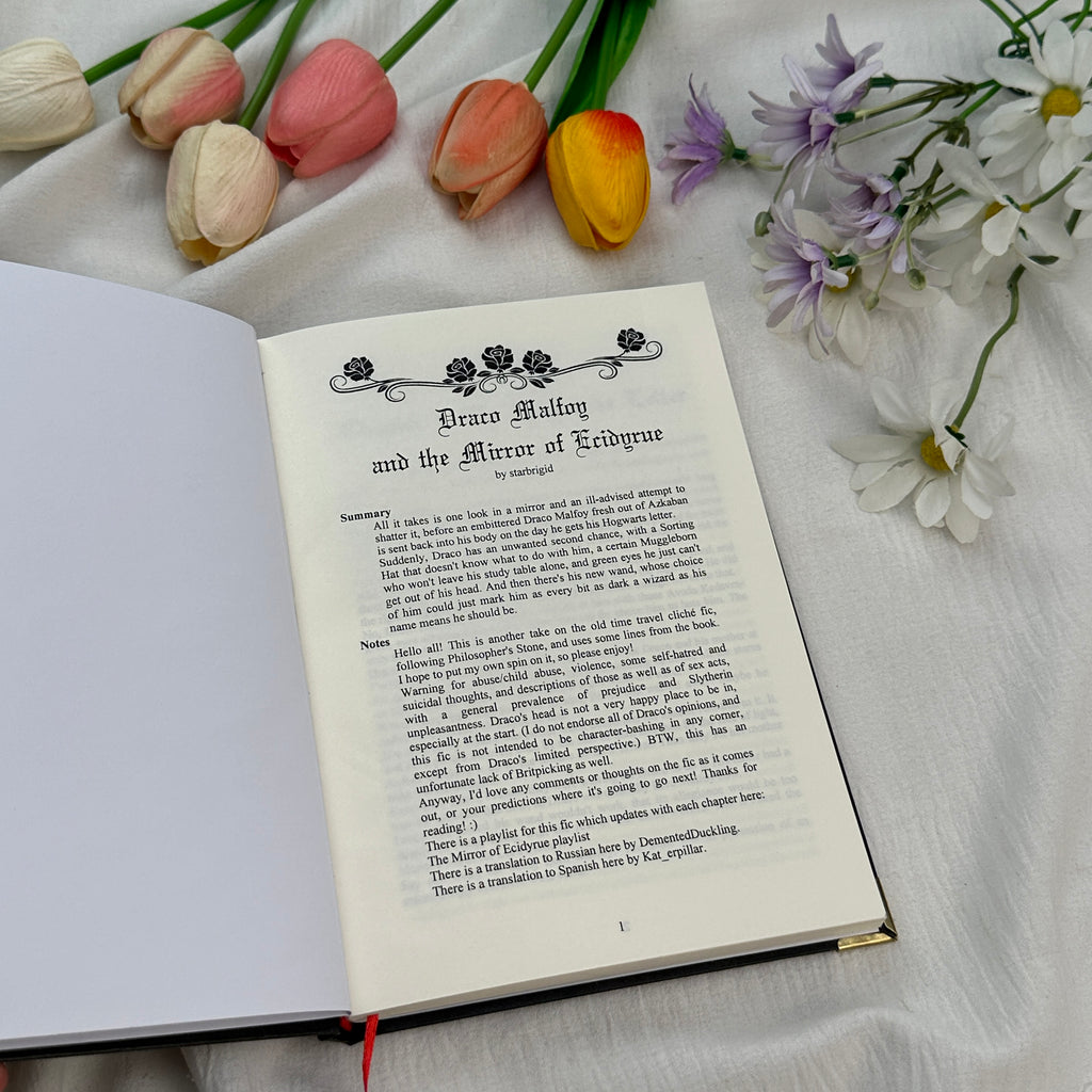 Draco Malfoy and the Mirror of Ecidiyure Book Set – Dark Fantasy Draco Malfoy Fanfiction Hardcover Collection, Magical Romance & Adventure Series