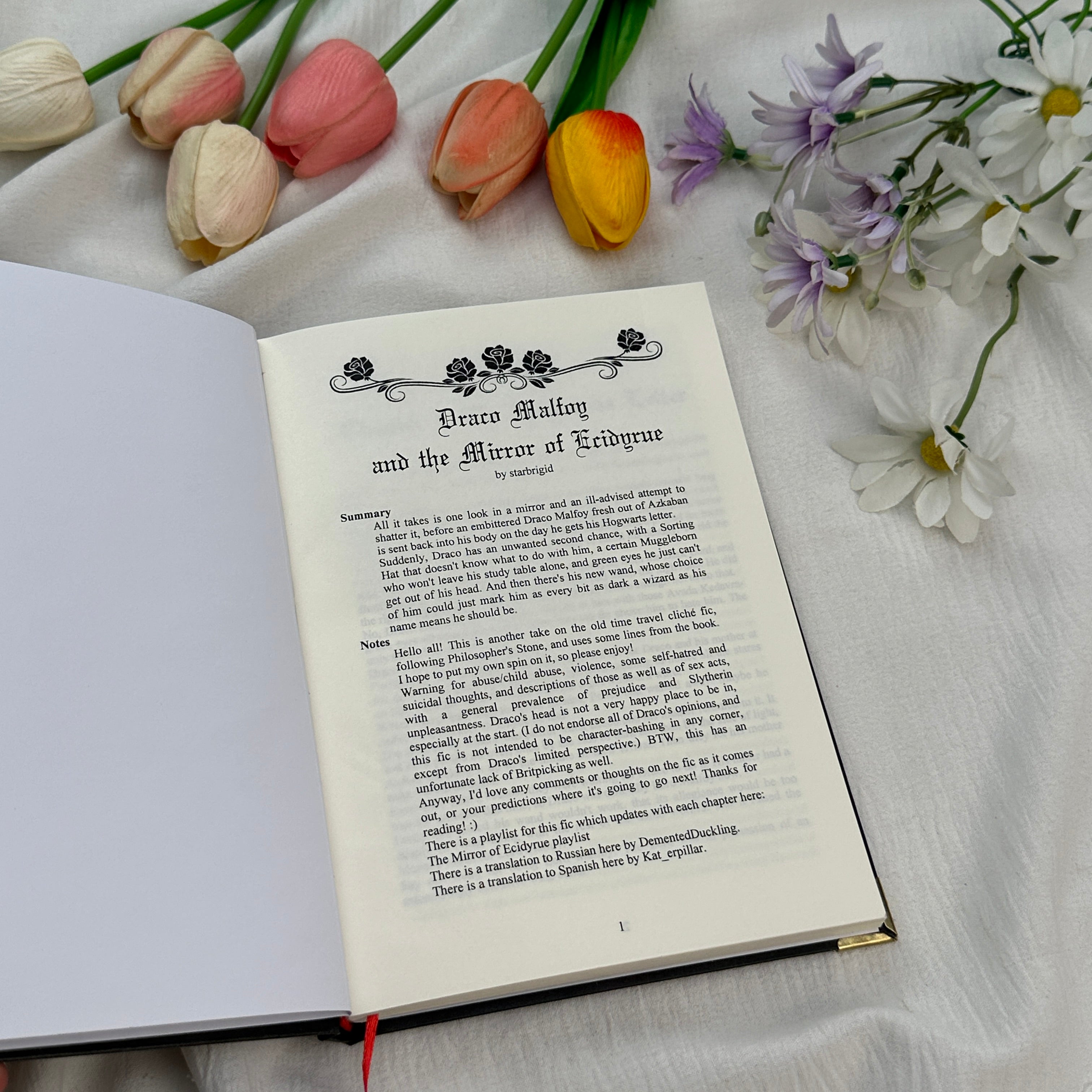 Draco Malfoy and the Mirror of Ecidiyure Book Set – Dark Fantasy Draco Malfoy Fanfiction Hardcover Collection, Magical Romance & Adventure Series